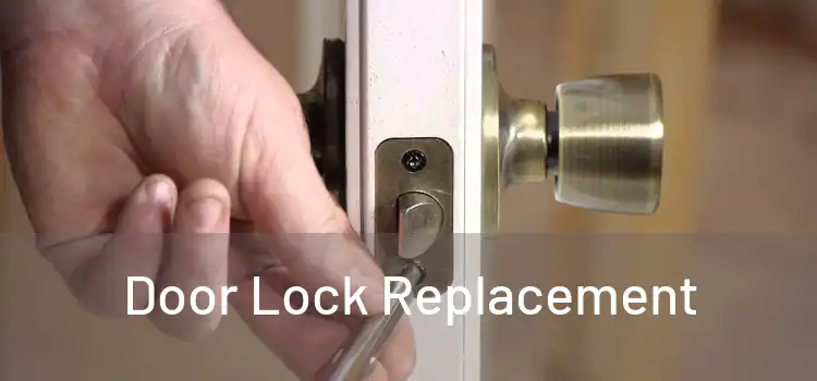  Door Lock Replacement 